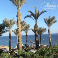 фото из отзыва ID 1720040