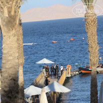 фото из отзыва ID 1720040