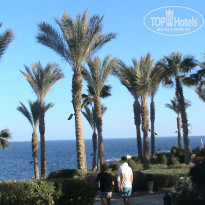 фото из отзыва ID 1720040