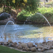 фото из отзыва ID 1720040