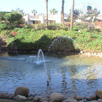 фото из отзыва ID 1720040