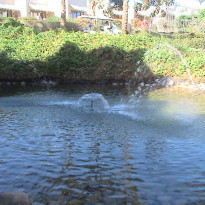 фото из отзыва ID 1720040