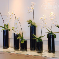 фото из отзыва ID 1720275