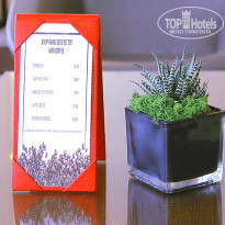 фото из отзыва ID 1720275