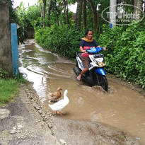 фото из отзыва ID 1720281