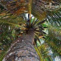 фото из отзыва ID 1720302