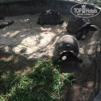 фото из отзыва ID 1720302