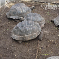 фото из отзыва ID 1720302