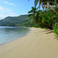 фото из отзыва ID 1720302