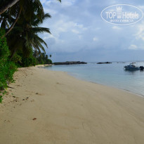 фото из отзыва ID 1720302