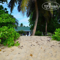 фото из отзыва ID 1720302