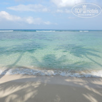 фото из отзыва ID 1720302