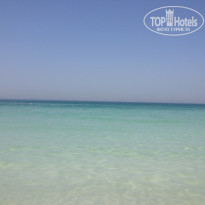 фото из отзыва ID 1720319