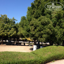 фото из отзыва ID 1720339