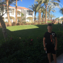 фото из отзыва ID 1720435