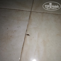 фото из отзыва ID 1720519