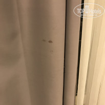 фото из отзыва ID 1720639