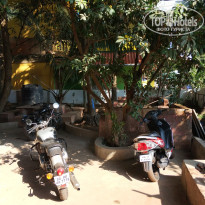 фото из отзыва ID 1720643