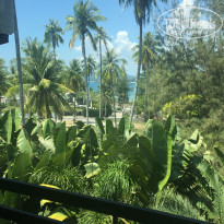 фото из отзыва ID 1720733