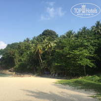 фото из отзыва ID 1720733