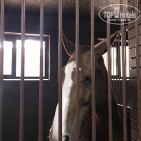 фото из отзыва ID 1720765