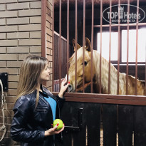 фото из отзыва ID 1720765