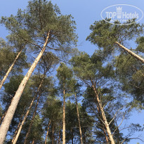 фото из отзыва ID 1720765