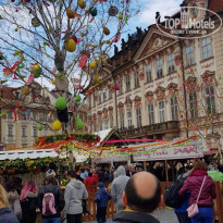 фото из отзыва ID 1720889