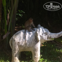 фото из отзыва ID 1721165