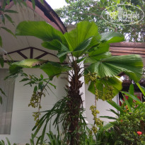 фото из отзыва ID 1721165