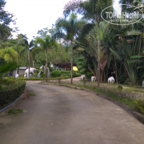 фото из отзыва ID 1721165