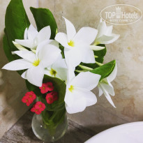 фото из отзыва ID 1727815