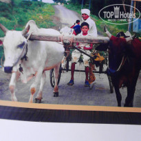 фото из отзыва ID 1721175