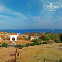 фото из отзыва ID 1721182