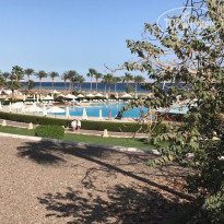 фото из отзыва ID 1721184