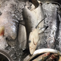 фото из отзыва ID 1721296