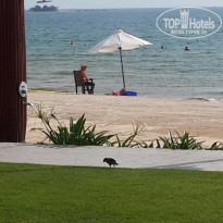 фото из отзыва ID 1721349