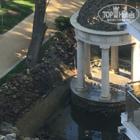 фото из отзыва ID 1721380