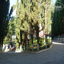 фото из отзыва ID 1721525