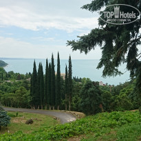 фото из отзыва ID 1721525