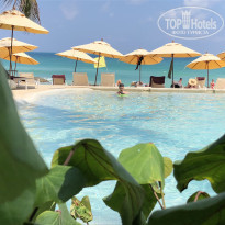 фото из отзыва ID 1721726