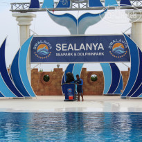 фото из отзыва ID 1721247