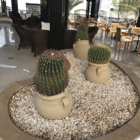 фото из отзыва ID 1721918