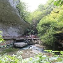 фото из отзыва ID 1722020