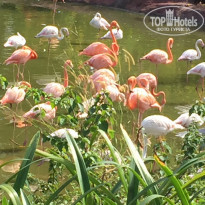 фото из отзыва ID 1722360