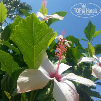 фото из отзыва ID 1722320