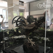 фото из отзыва ID 1722972