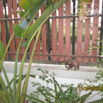 фото из отзыва ID 1723004