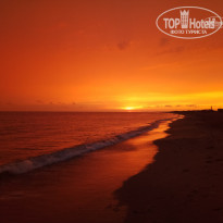 фото из отзыва ID 1723007