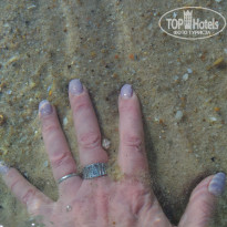 фото из отзыва ID 1723018